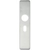 Cover plate for 22mm RTD Lever on Backplate - Oval 47.5mm